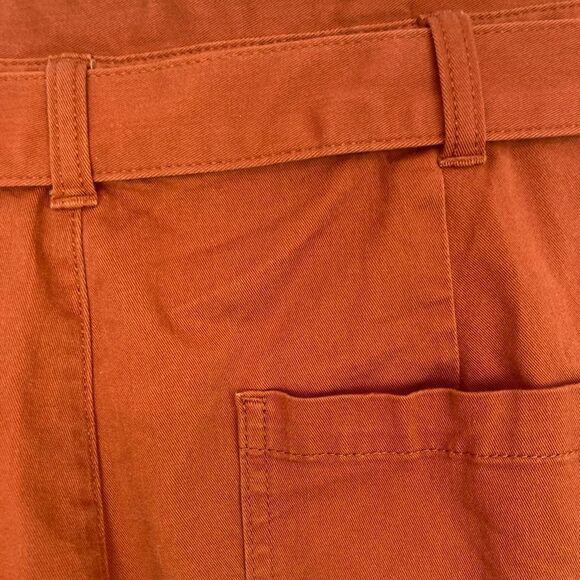 Banana Republic Barrel pants w/ tie in pumpkin spice - Picture 7 of 11